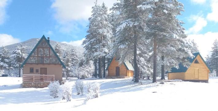 Chalet Cilac Zabljak  Ngoại thất bức ảnh